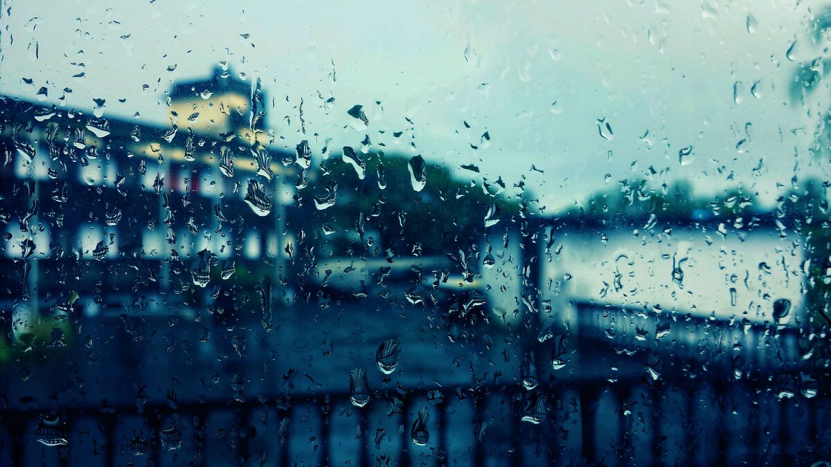 Damp Proof Membrane: What Is It?